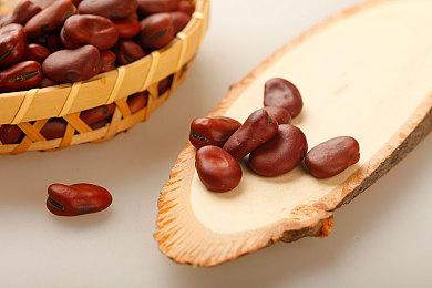 2023年4月Steam Deck 20大热门游戏出炉